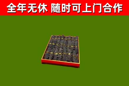 五指山回收海参